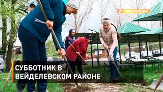 Субботник в Вейделевском районе 