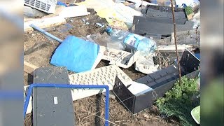 В Архиерейской роще пройдет субботник