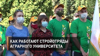 Как работают стройотряды аграрного университета 