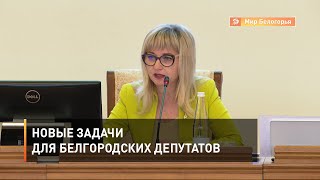 Новые задачи для белгородских депутатов