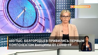 603 тыс. белгородцев привились первым компонентом вакцины от COVID-19 