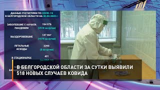 В Белгородской области за сутки выявили 518 новых случаев ковида