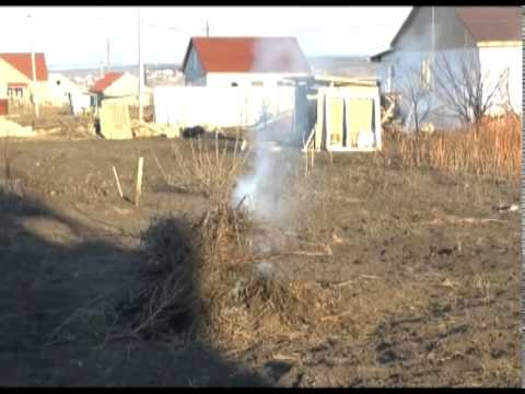 В регионе выявлено около пятисот случаев поджога сухой травы 