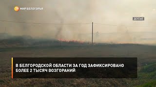 В Белгородской области за год зафиксировано более 2 тысяч возгораний
