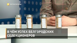 В чём успех белгородских селекционеров