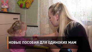 Новые пособия для одиноких мам