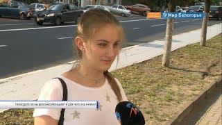 Проходят ли белгородцы диспансеризацию