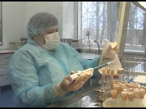 Партия некачественного мяса
