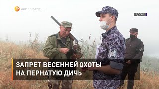 Запрет весенней охоты на пернатую дичь