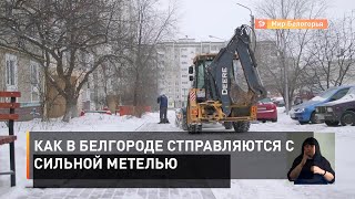 Как в Белгороде справляются с сильной метелью