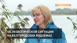 Об экологической ситуации на белгородских водоёмах 