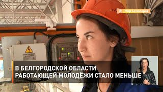 В Белгородской области работающей молодёжи стало меньше