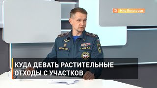 Куда девать растительные отходы с участков