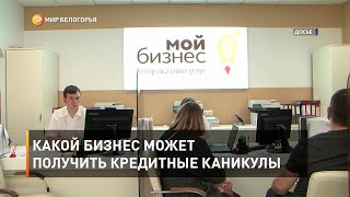 Какой бизнес может получить кредитные каникулы