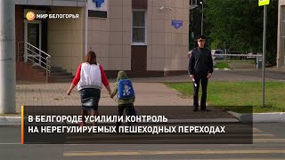 В Белгороде усилили контроль на нерегулируемых пешеходных переходах