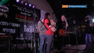 Акция металлургов в защиту бездомных животных
