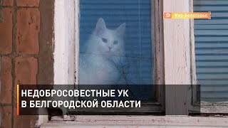 Недобросовестные УК в Белгородской области