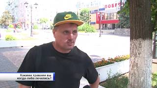 Какими травами лечатся белгородцы