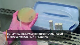 Ветеринарные работники отмечают свой профессиональный праздник