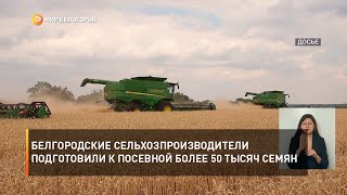 Белгородские сельхозпроизводители подготовили к посевной более 50 тысяч семян