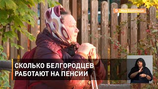 Сколько белгородцев работают на пенсии 