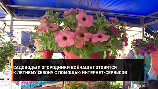 Садоводы и огородники всё чаще готовятся к летнему сезону с помощью интернет-сервисов