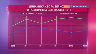 Планы на урожай зерновых в Белгородской области