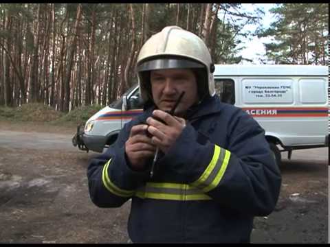 В лесном массиве Сосновки ликвидировали условный пожар