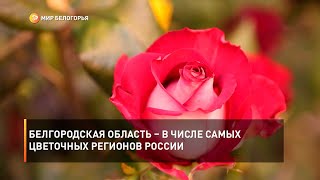 Белгородская область – в числе самых цветочных регионов России