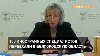 150 иностранных специалистов переехали в Белгородскую область 