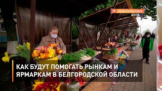 Как будут помогать рынкам и ярмаркам в Белгородской области