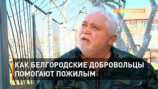 Как белгородские добровольцы помогают пожилым 
