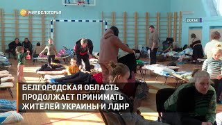 Белгородская область продолжает принимать жителей Украины и ЛДНР