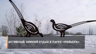 Активный зимний отдых в парке «Ривьера»