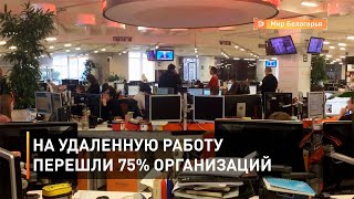 На удаленную работу перешли 75% организаций