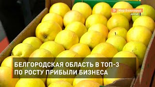 Белгородская область в топ-3 по росту прибыли бизнеса