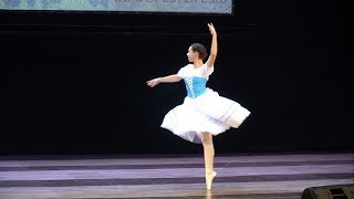 Успех «Элегии» на «Московских каникулах»