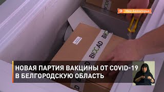 Новая партия вакцины от COVID-19 в Белгородскую область