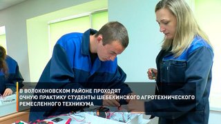 В Волоконовском районе проходят очную практику студенты Шебекинского агротехнического ремесленного техникума