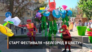 Старт фестиваля «Белгород в цвету»