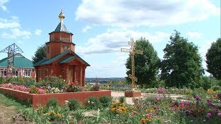 В Борисовке возродят соборный храм