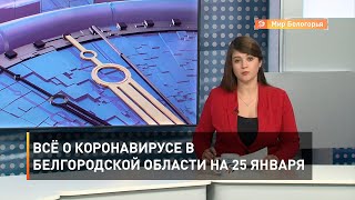 Всё о коронавирусе в Белгородской области на 25 января