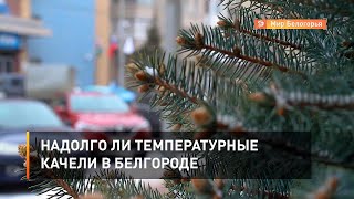 Надолго ли температурные качели в Белгороде