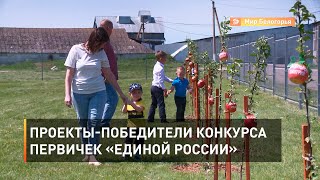 Проекты-победители конкурса первичек «Единой России»
