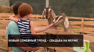 Новый семейный тренд – свадьба на ферме