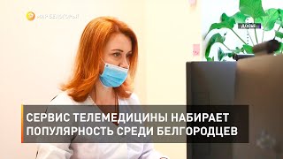 Сервис телемедицины набирает популярность среди белгородцев