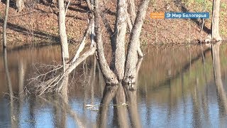 В Чернянском районе оборудовали пруд