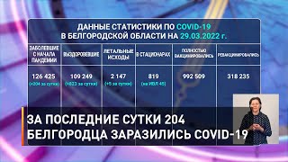 За последние сутки 204 белгородца заразились COVID-19