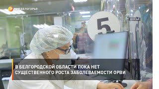 В Белгородской области пока нет существенного роста заболеваемости ОРВИ