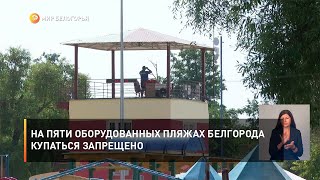На пяти оборудованных пляжах Белгорода купаться запрещено